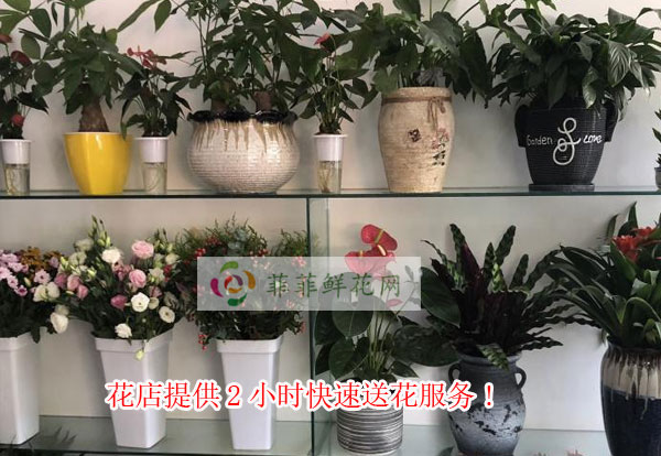 乌鲁木齐米东区花店提供乌鲁木齐米东区2小时快速送花服务